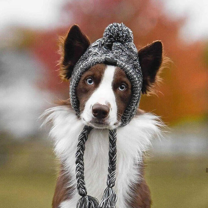 Ollie Knitted Hat