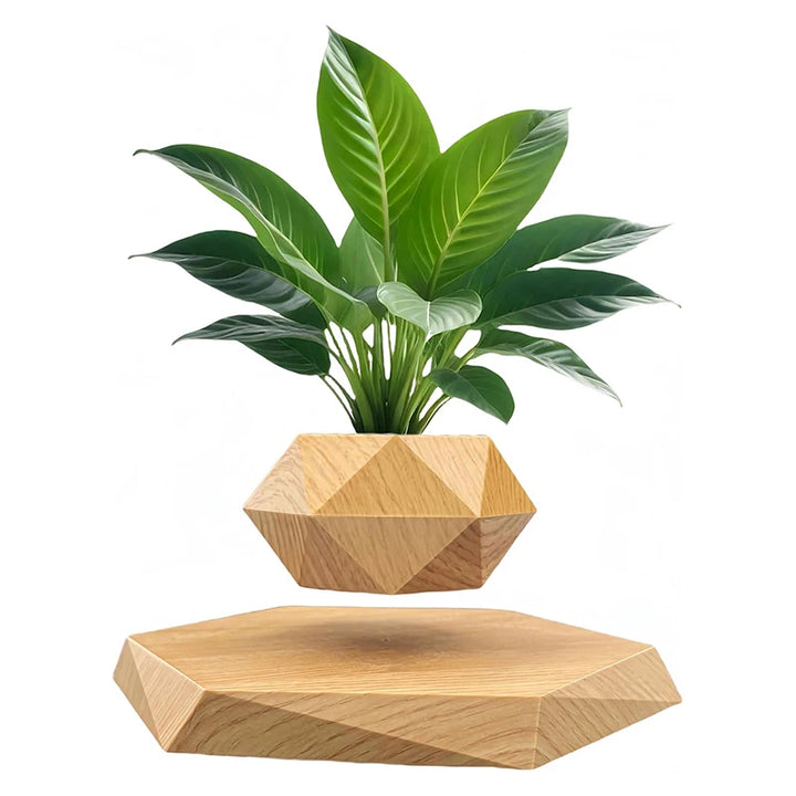 Veylo Floating Bonsai Planter